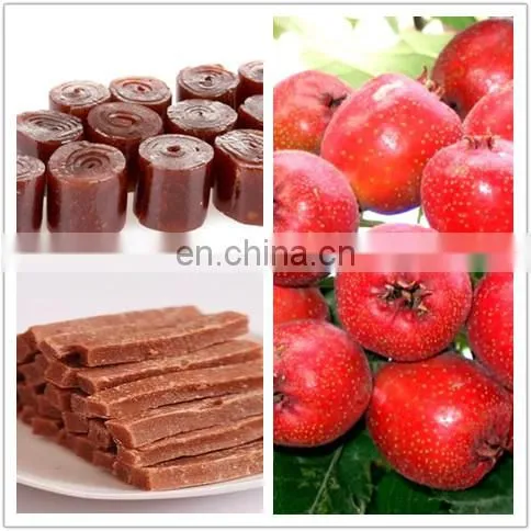 High Quality Fruit Leather Processing Machine photo-5