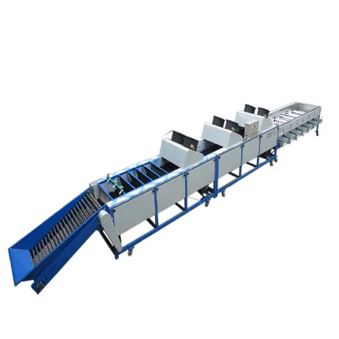 Vegetable Sorting Machine for Sale for Onion & Olive Sorting With Core PLC Components photo-2