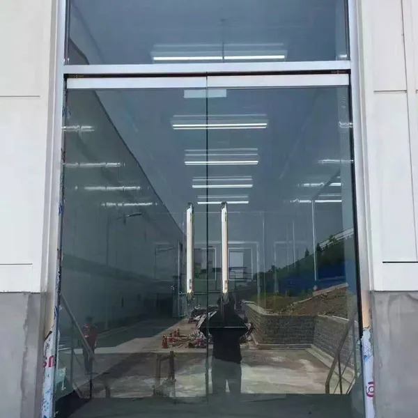 Glass Door