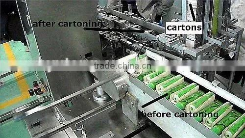 Automatic Horizontal Cartoning Machine for Pouch, Automatic Cartoning Packing photo-5