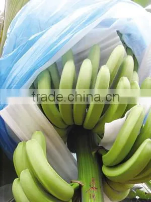 Uv Protection Plastic Banana Bunch Cover 90*200 photo-3