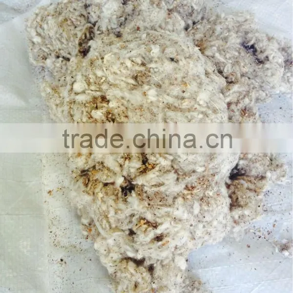 Cotton Waste for Mushroom