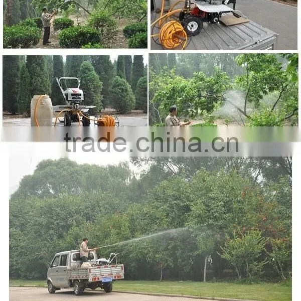 China Gasoline Motor Power Sprayer Pump Agriculture Spray Machine Garden Sprayer photo-3
