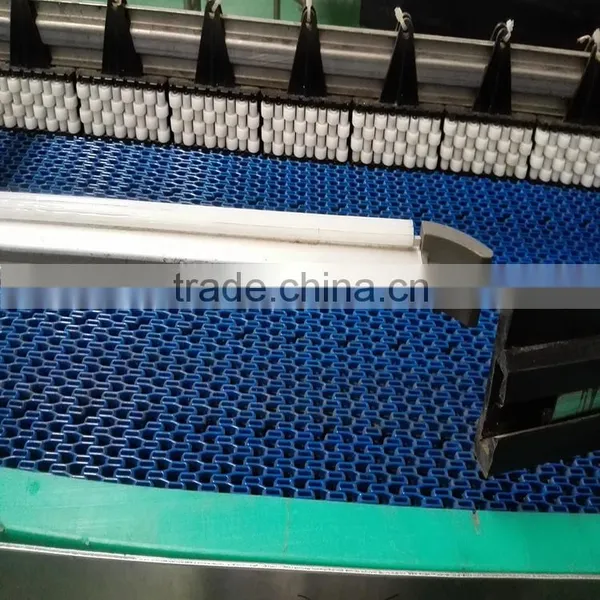 POM Belt Conveyor/modular Conveyor Factory Price photo-5
