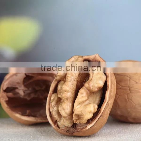 High Quality Xinjiang Walnut Thin Shell Walnuts photo-2