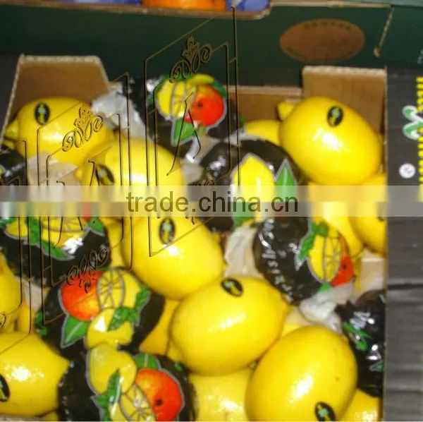 Lemon photo-6