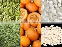 PUMPKIN SEEDS photo-3