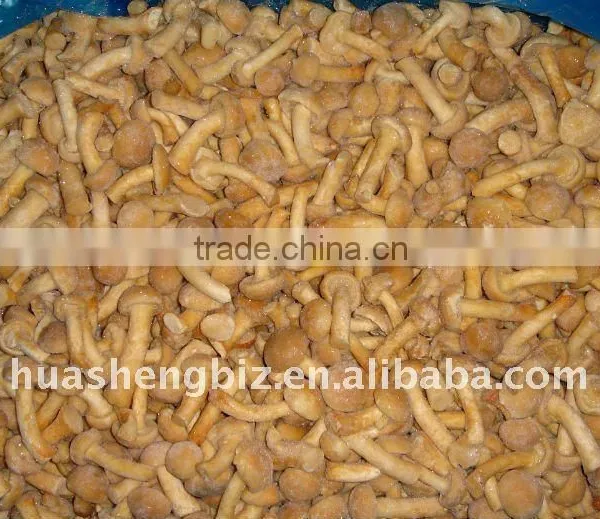 Fresh IQF Pholiota Nameko photo-3