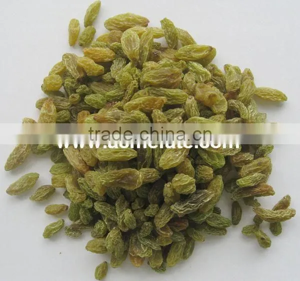 Top Quality Raisin(sun Dried) From Xinjiang photo-2