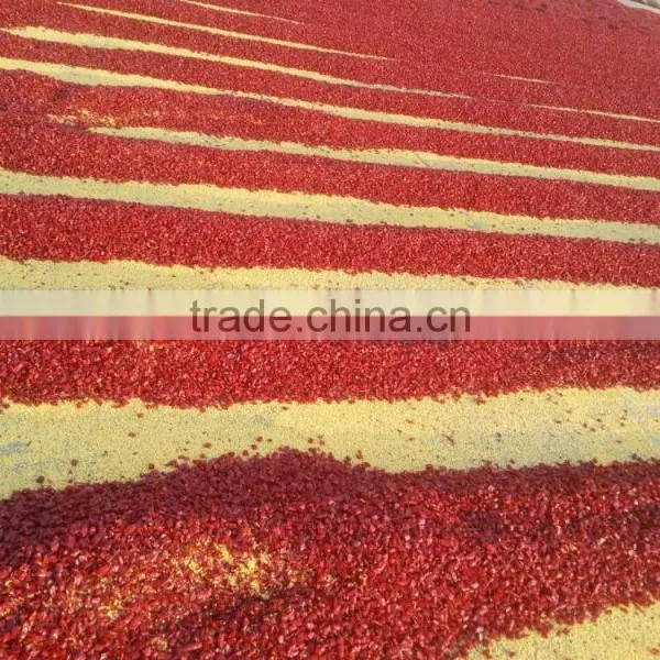 Chinese Manufacturer Export No Mould no Pesticide no Aflatoxin High Quality Chaotian Tianying Sanying Cutting Chilli photo-4