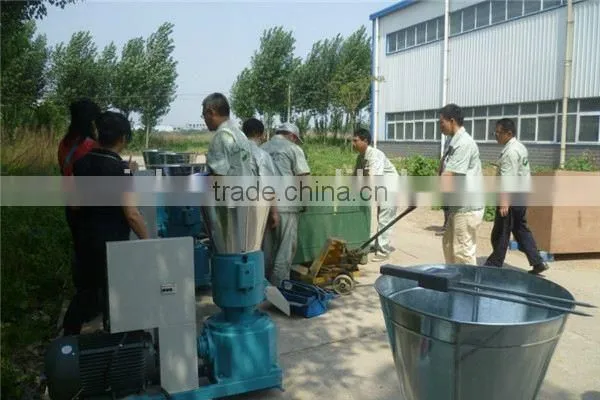 Wood Pellet Packing Machine photo-3