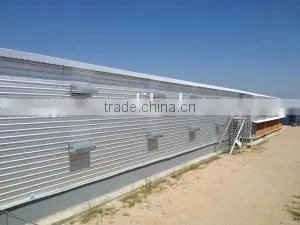 Broiler Chicken House photo-5