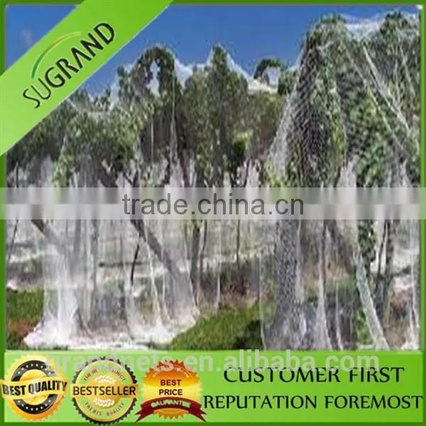 100% New HDPE Nylon Bird Nets for Catch Birds Anti Bird Netting for Sale photo-5