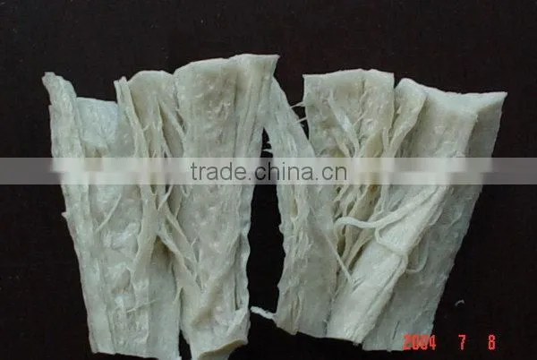 Made in Jinan China Excellent Quality Soya Protein Bar Extruder Machines photo-3