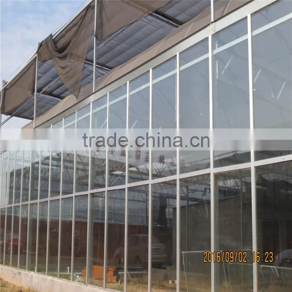 Agricultural Greenhouse for Tomato/Strawberry/Grape photo-4