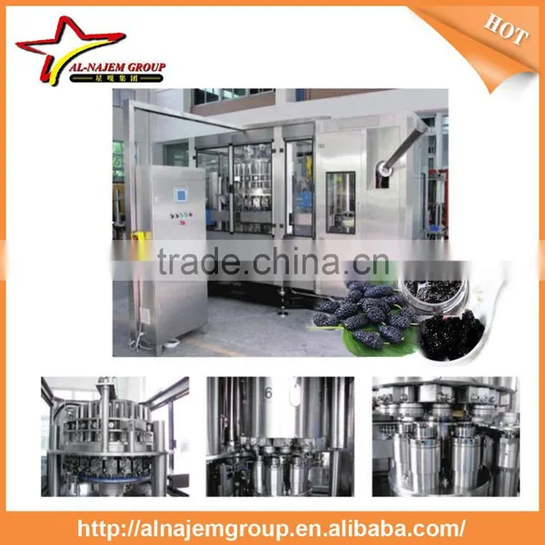 Mulberry Paste Making Production Line High Viscosity Liquid Filling Machine photo-3