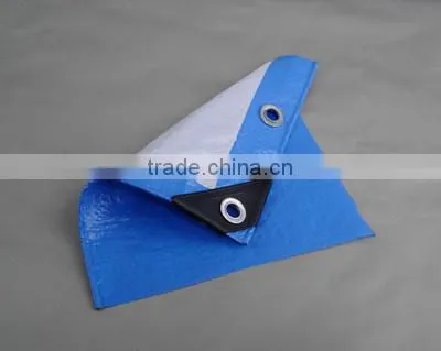 Customized High Quality Chinese Factory Pp/pe Tarpaulin photo-2