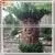 Tropical Plants Fake Tree Trunk Pictures Decorative Artificial Fiberglss Tree Trunk Without Leaves photo-4