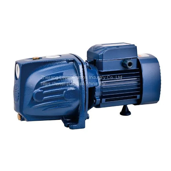 JSW Series 12M Self Priming Water Pump photo-2