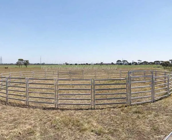 Square Pipe Cattle Panels