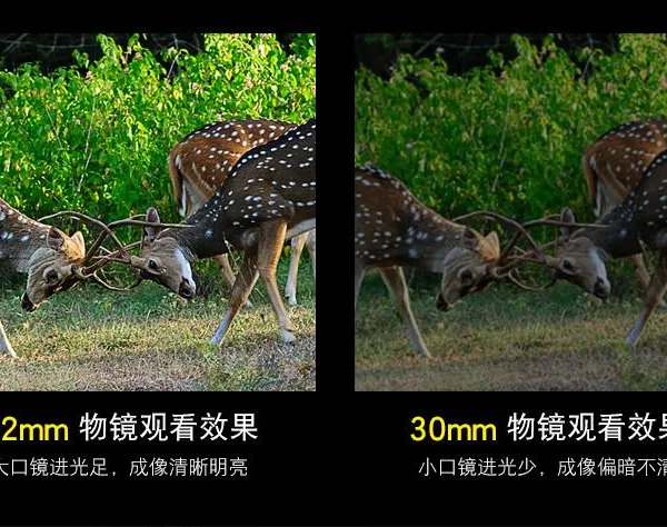 Handy 10X42 Anti-Frog Telescope for Sightseeing Bird Watching Hiking Spotting Scope photo-4
