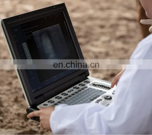 Veterinary Ultrasound Scanner Portable Color 3d Ultrasound Machine Electric Ce Mobile Trolley or Carrying Bag 24 15 LCD Monitor photo-3