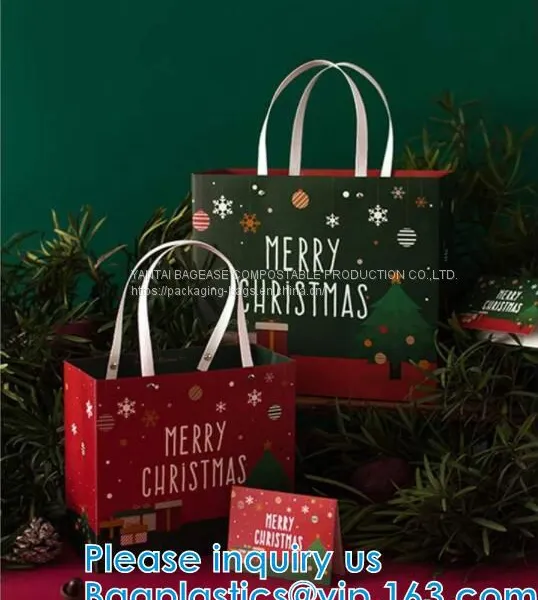 China Manufacturer Matt Lamination Christmas Gift Paper Bag With Cotton Handle,New Design White Handmade Paper Bag Pack photo-3