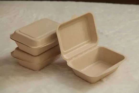 450ml 600ml Degradable Disposable Lunch Box, Pulp Lunch Box, Light Snack Box, Fast Food Box, Cake Hamburger Box photo-5