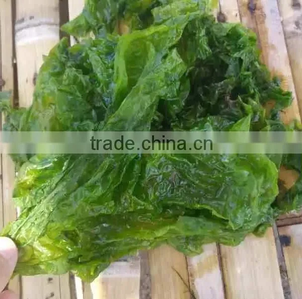 Factory Supply Natural Seaweed Food Condiment Dried Green Ulva Powder/Flakes photo-3