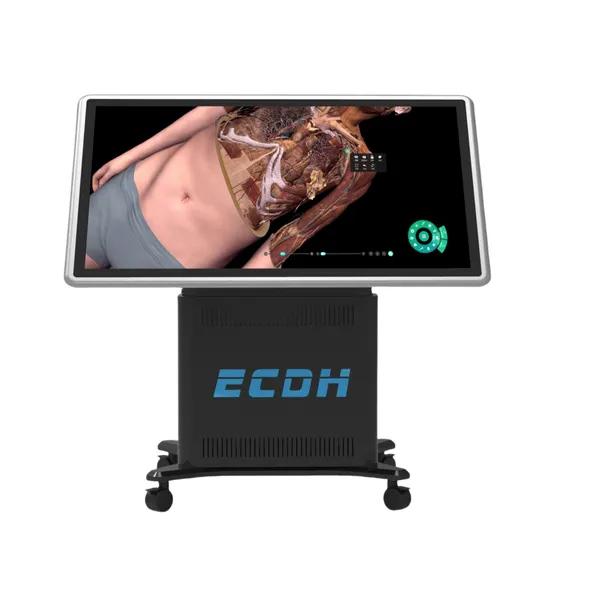 55-inch 3D Medical Display Virtual Anatomy Table, Fully Laminated Touch Screen, Capacitive Touch Screen Virtual Anatomy Table photo-4
