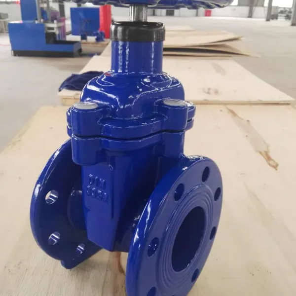 DIN Resilient Gate Valve Ductile /Cast Iron WCB A216 GGG50 PN16 Metal Seat Soft Seal Flange Lifting Manual With Brass Seal photo-2