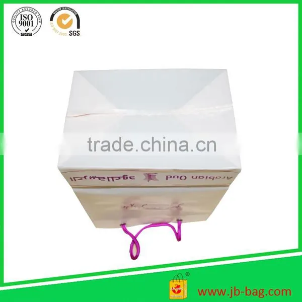 JUNBANG Wholesale Biodegradable LDPE/POLY Plastic Bag for Shopping photo-3