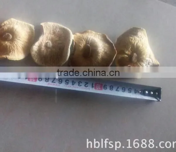 5-7 cm Big Cap Dried Smooth Low Price Shiitake Mushroom/ Mushroom Cap photo-2