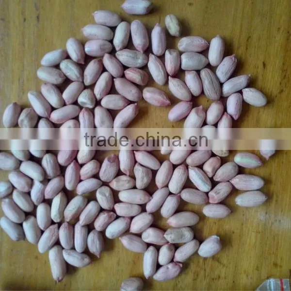 PEANUT KERNELS