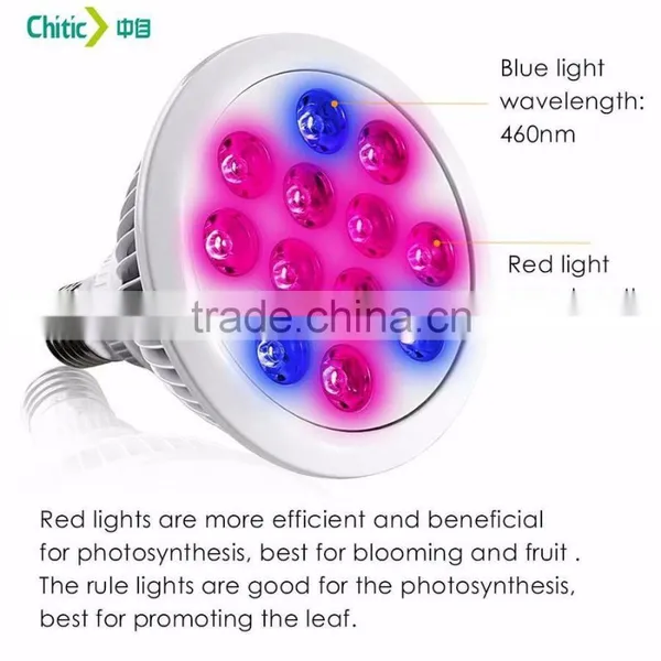 Hot Selling High Quality Standard Manufacturer in China Factory Price 24W E27 LED Plant Grow Light for Strawberry photo-4