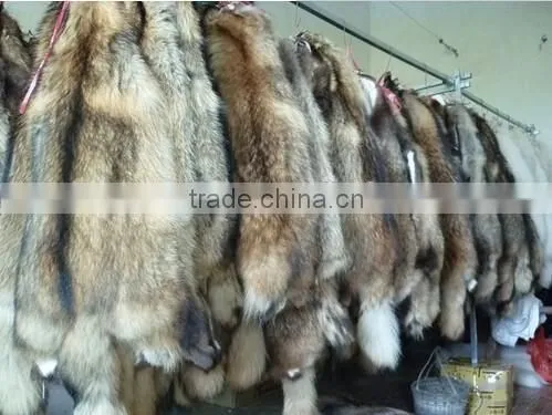 China Original 100% Genuine Raccoon Fur Skin photo-3