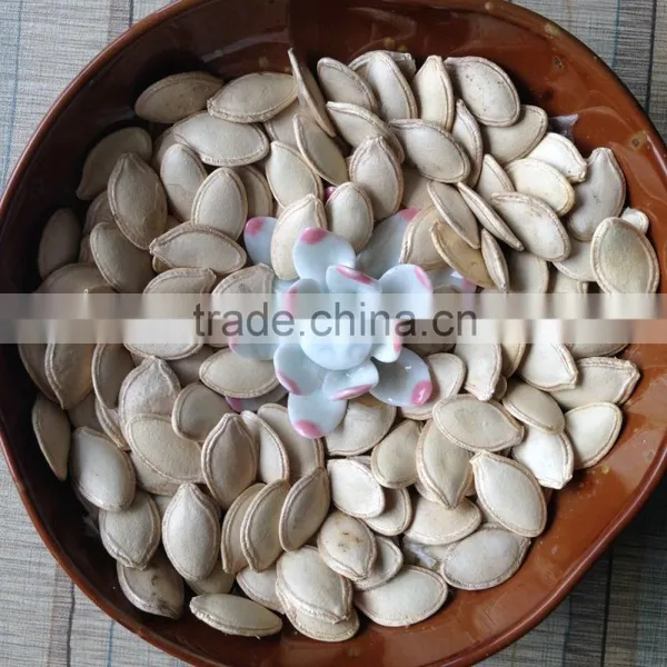 High Quality Wholesale Shine Skin Pumpkin Seeds photo-5