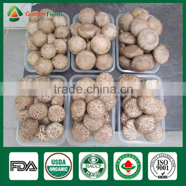 Shiitake Mushroom,Shiitake Mushroom Log ,Forest Shiitake Mushrooms photo-2