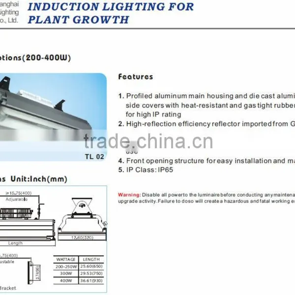 Low Bay Induction Lighitng photo-3