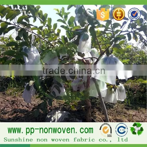 PP Spunbond Roll Fabric Nonwoven Fabric Fruit Cover photo-4