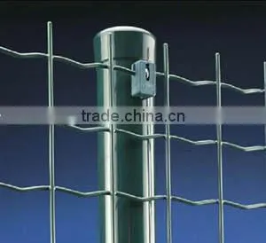 Holland Wire Mesh photo-2