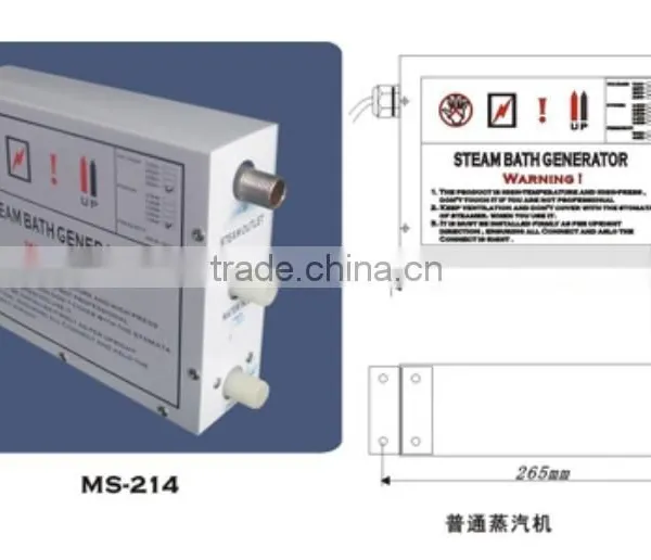 6KW Steam Engine Generator for Steam Shower Room photo-3
