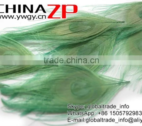 ZPDECOR Factory Bulk Sale Cheap Selling Dyed Mint Green Trimmed Short Peacock Feathers for DIY photo-4