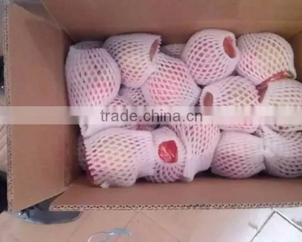 Fresh Pomegranate for Sales photo-3