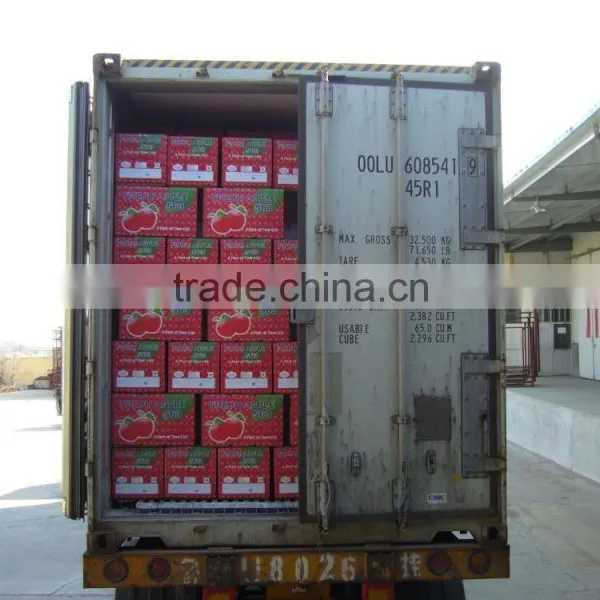 China Fresh Fruit photo-4