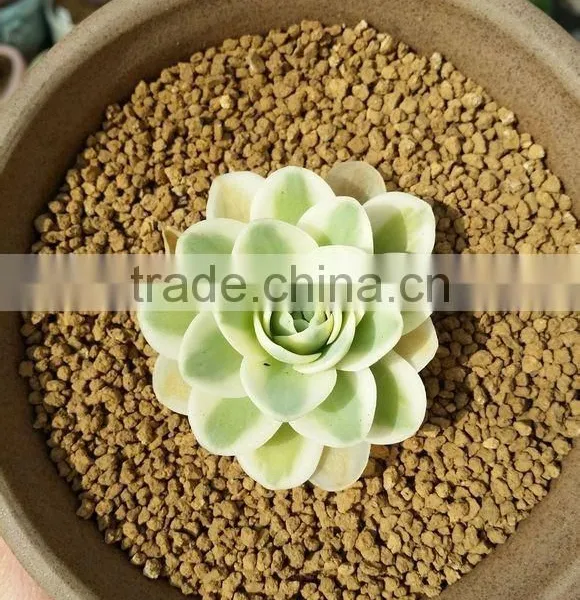 Porosity Soil/Gardening Soil/Horticulture Soil photo-5