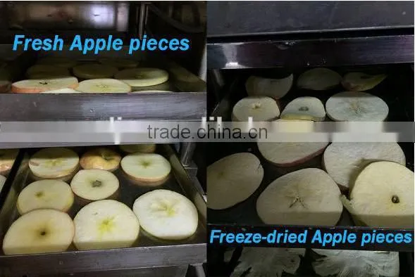 Automatic Fruits and Vegetables Freeze Dryer photo-6