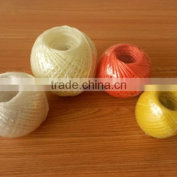 High Quality PP Tomato Twine for Agriculture Greenhouse From China photo-4