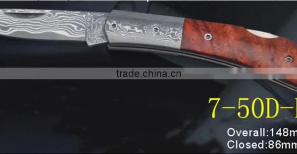 Damascus Steel Best Folding Knife photo-6