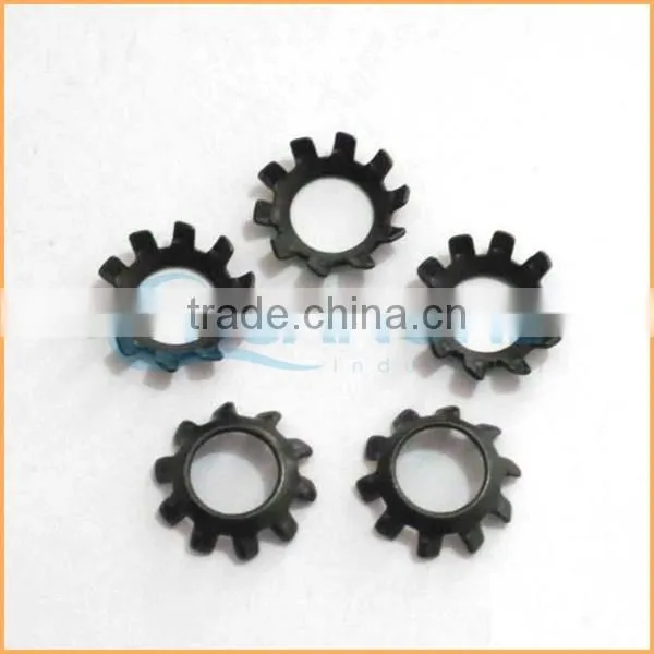 China Professional Manufacturing Internal Teeth Serrated Lock Washer photo-2